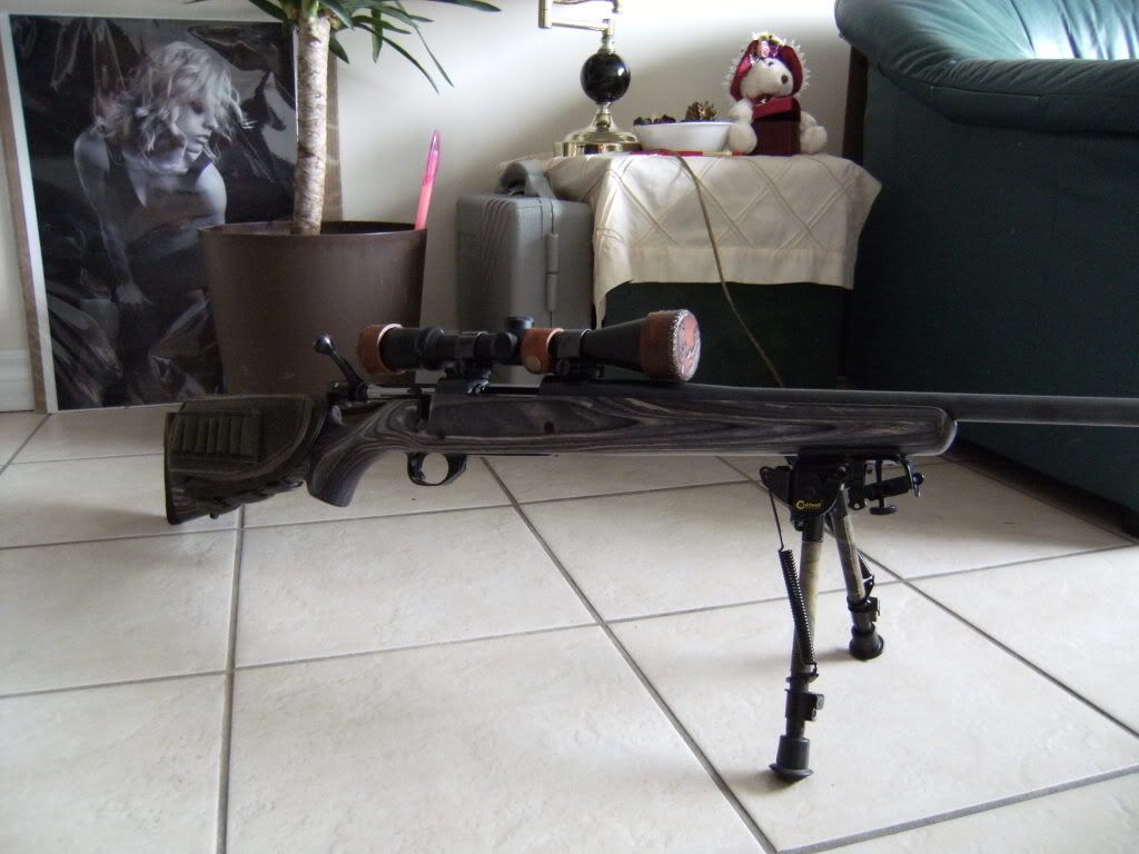 PILLAR BEDDING THE WEATHERBY VANGUARD Rimfire, Centrefire & Shotguns